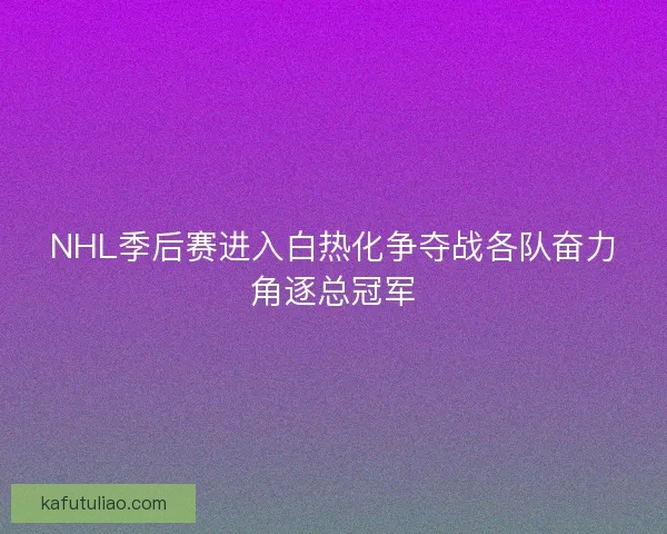 NHL季后赛进入白热化争夺战各队奋力角逐总冠军